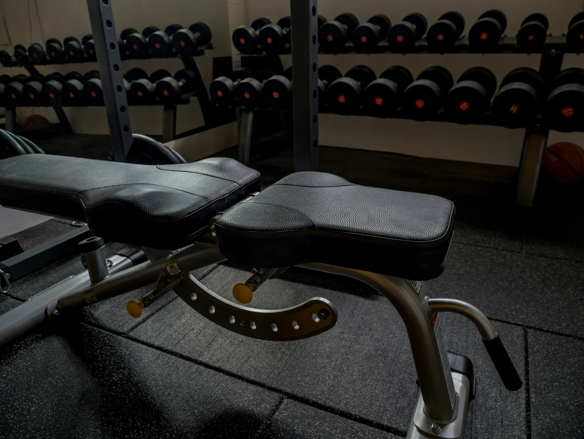 Weights and a bench set up for Bulgarian split squats in a gym