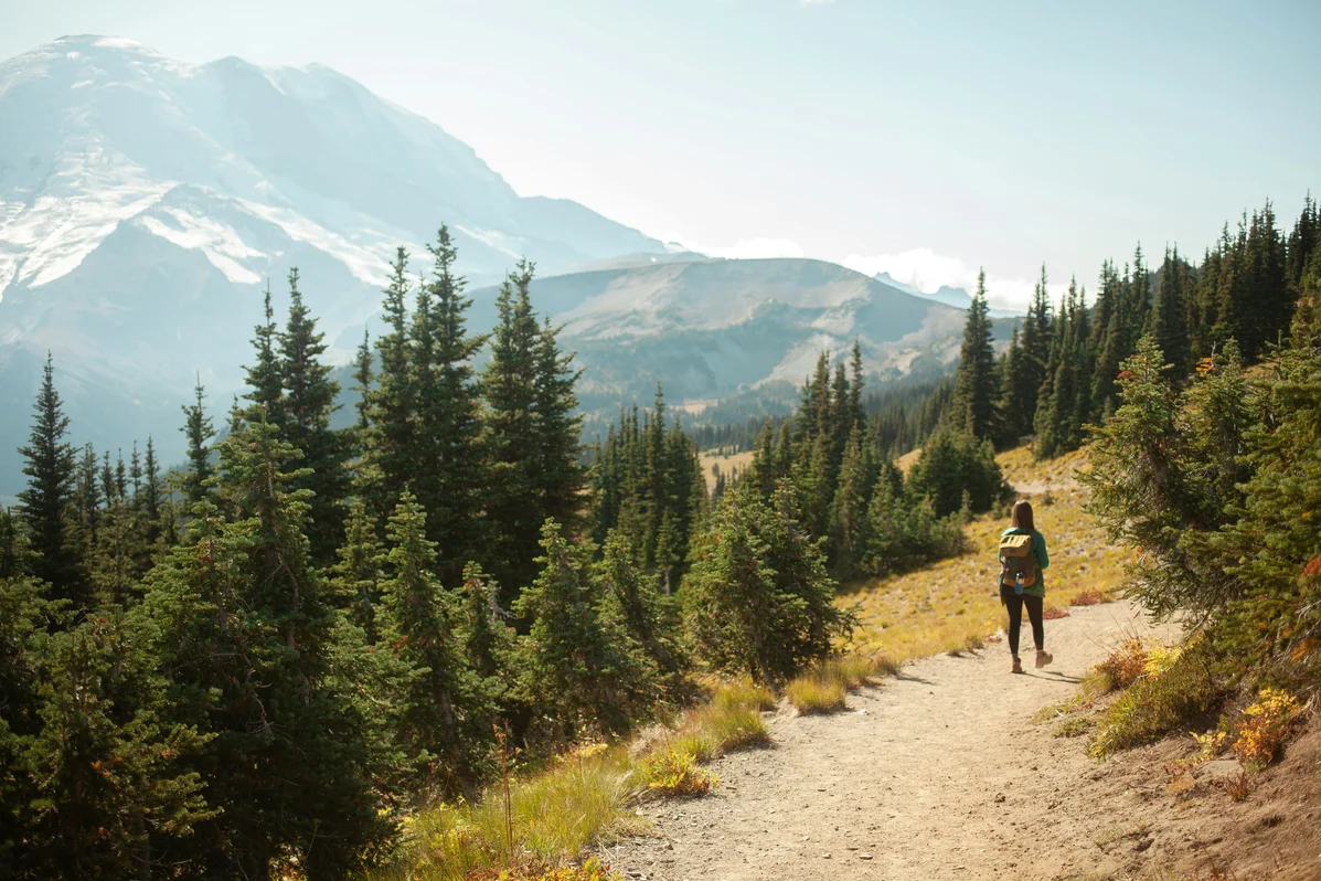 A runner training on a mountain trail demonstrating endurance techniques A runner training on a mountain trail demonstrating endurance techniques