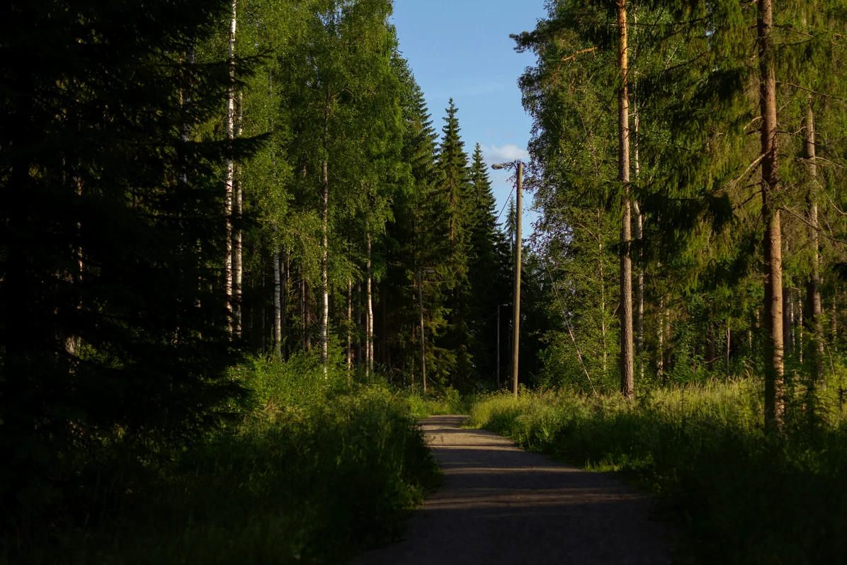 Person walking on an outdoor trail surrounded by greenery