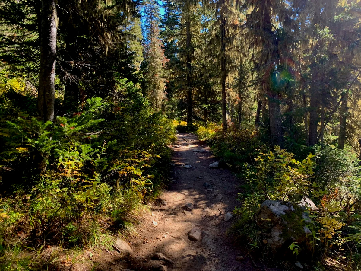 Hiking trail in a lesser-known national park, showcasing beautiful nature without crowds