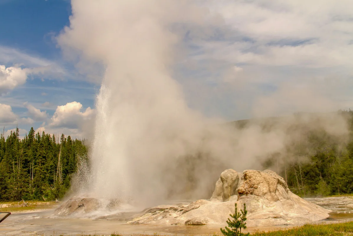 Historical view of Old Faithful geyser with visitors in the foreground Historical view of Old Faithful geyser with visitors in the foreground
