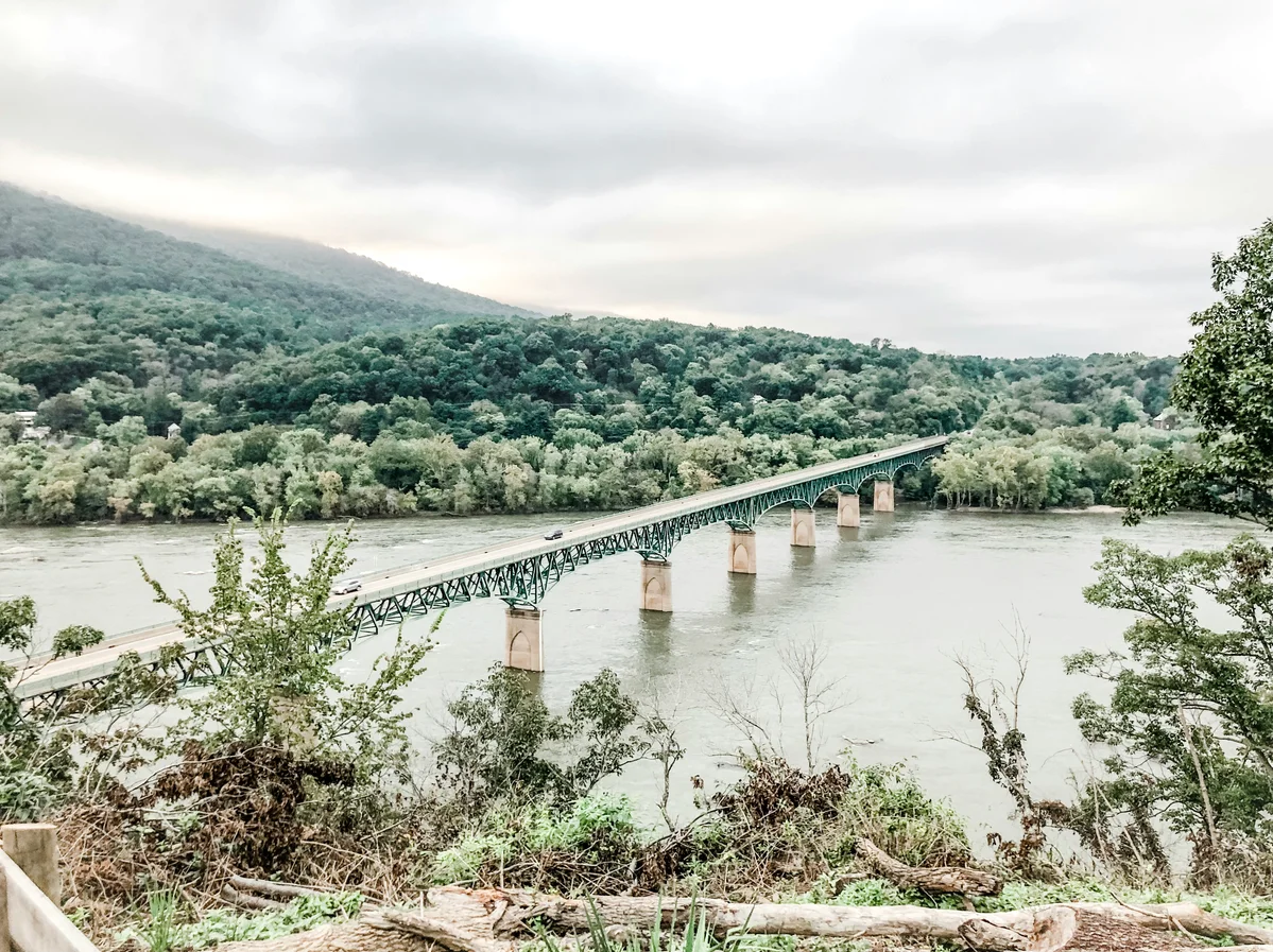 A hiking trail surrounded by lush greenery in West Virginia