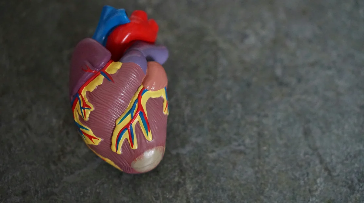 A heart health awareness poster representing Zack's wake-up call